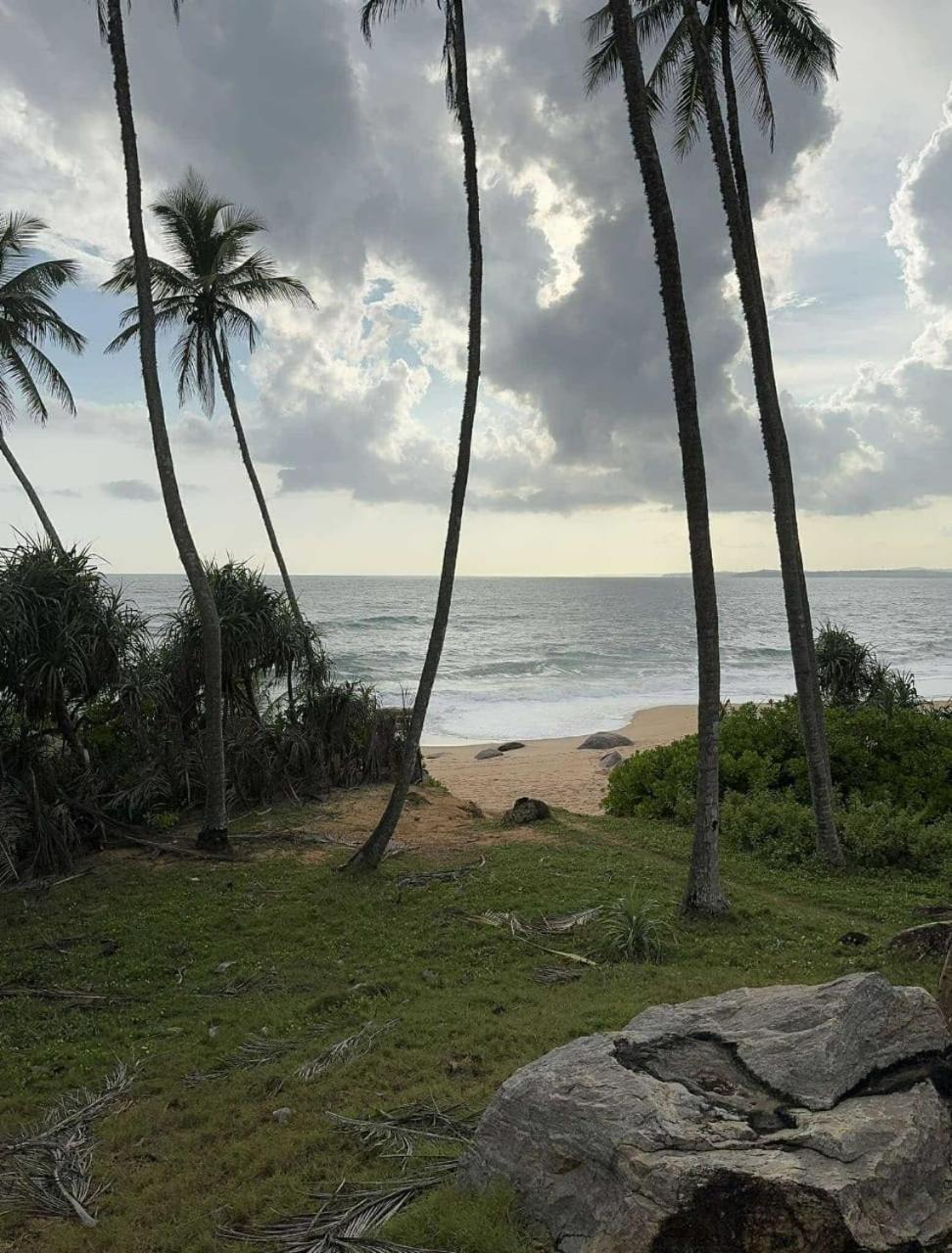 Coconut Tree Hill Rekawa Panzió Tangalle Kültér fotó