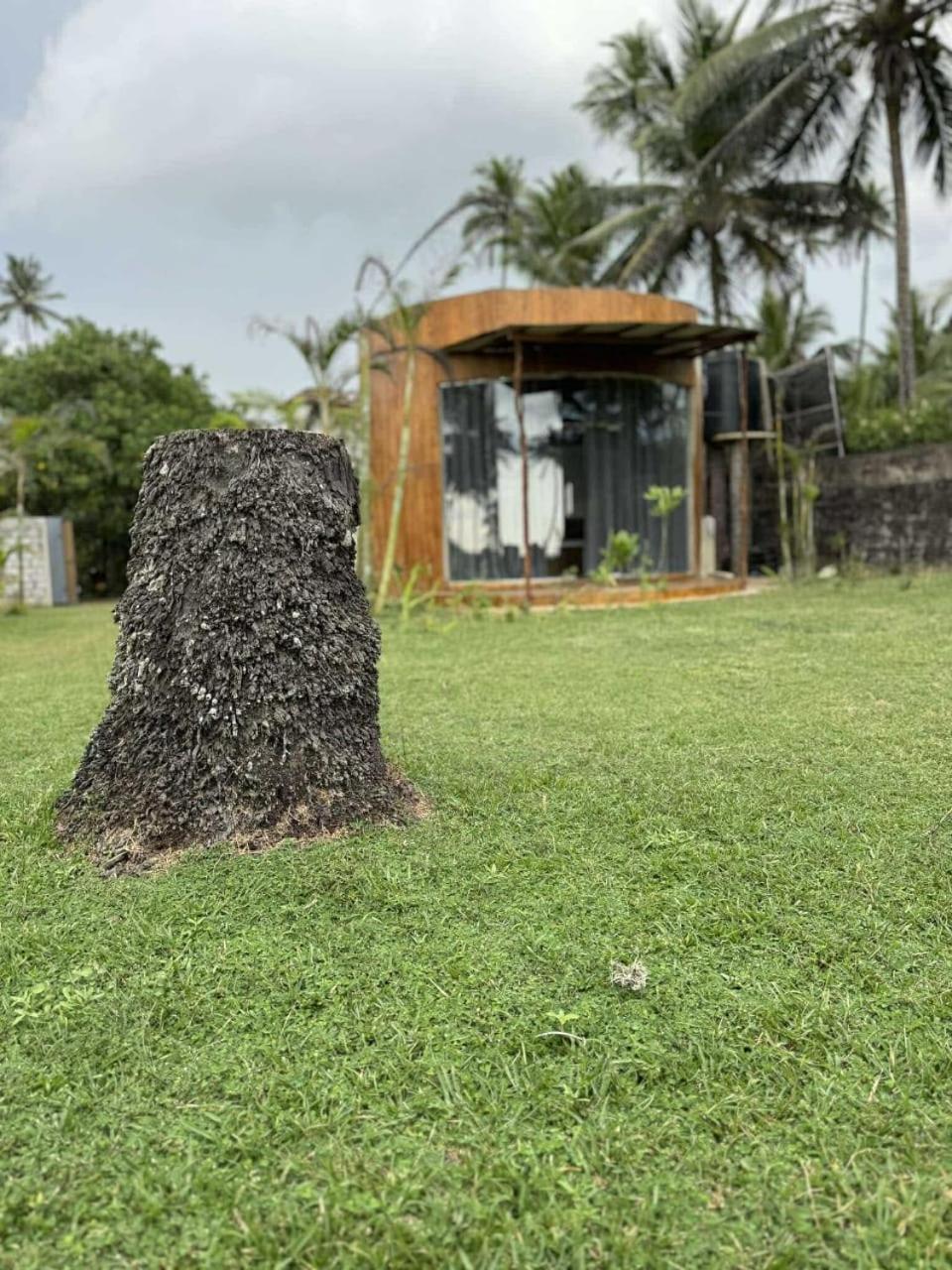 Coconut Tree Hill Rekawa Panzió Tangalle Kültér fotó