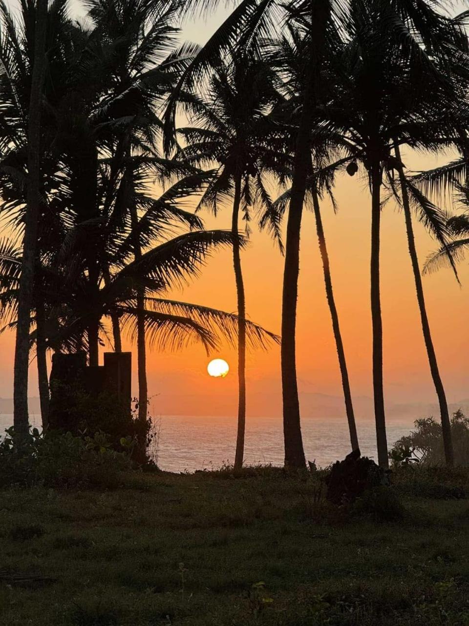 Coconut Tree Hill Rekawa Panzió Tangalle Kültér fotó