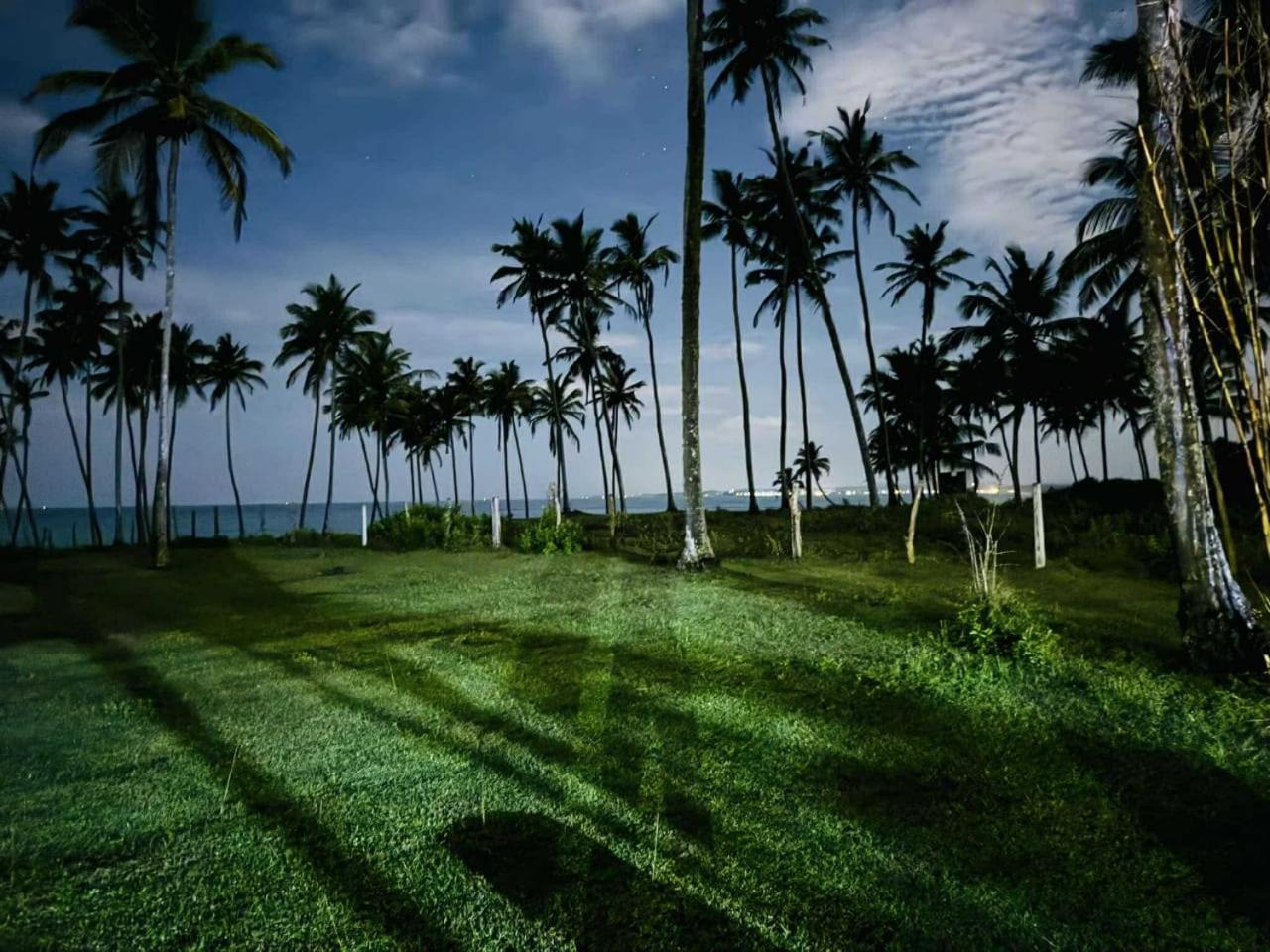 Coconut Tree Hill Rekawa Panzió Tangalle Kültér fotó