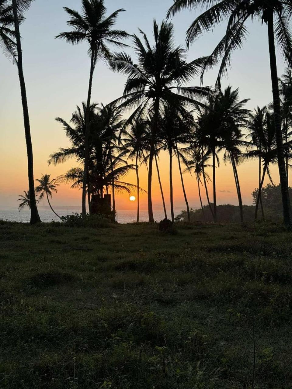Coconut Tree Hill Rekawa Panzió Tangalle Kültér fotó