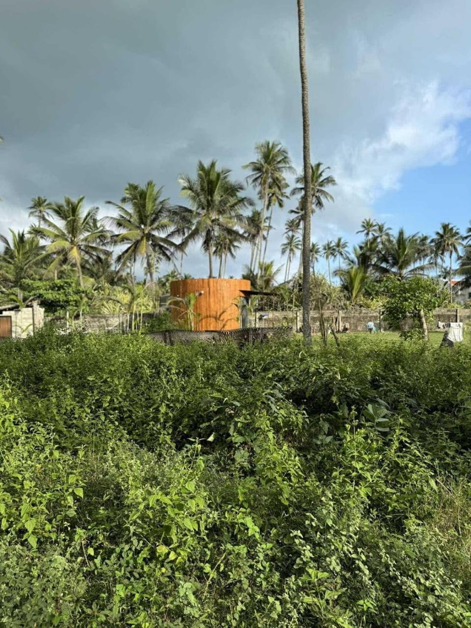 Coconut Tree Hill Rekawa Panzió Tangalle Kültér fotó