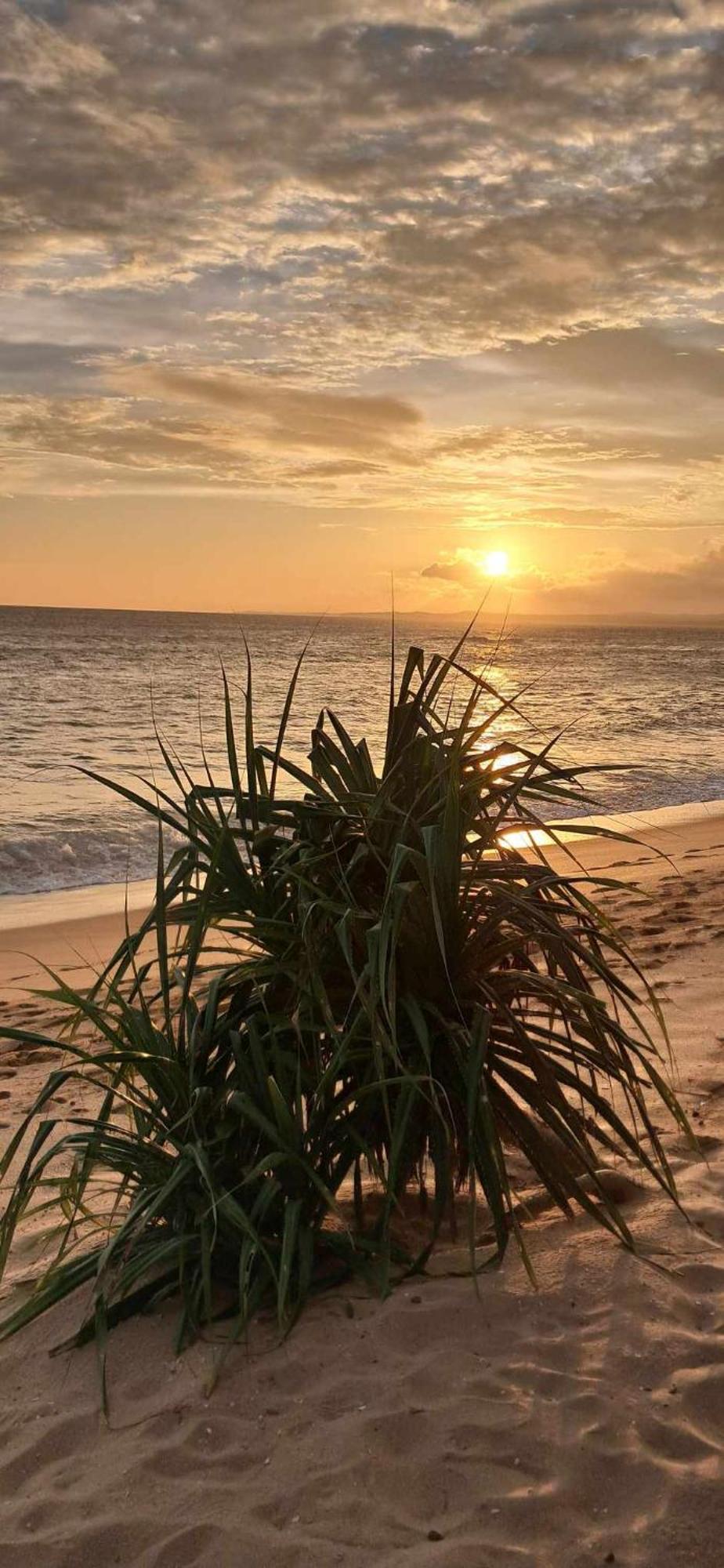 Coconut Tree Hill Rekawa Panzió Tangalle Kültér fotó