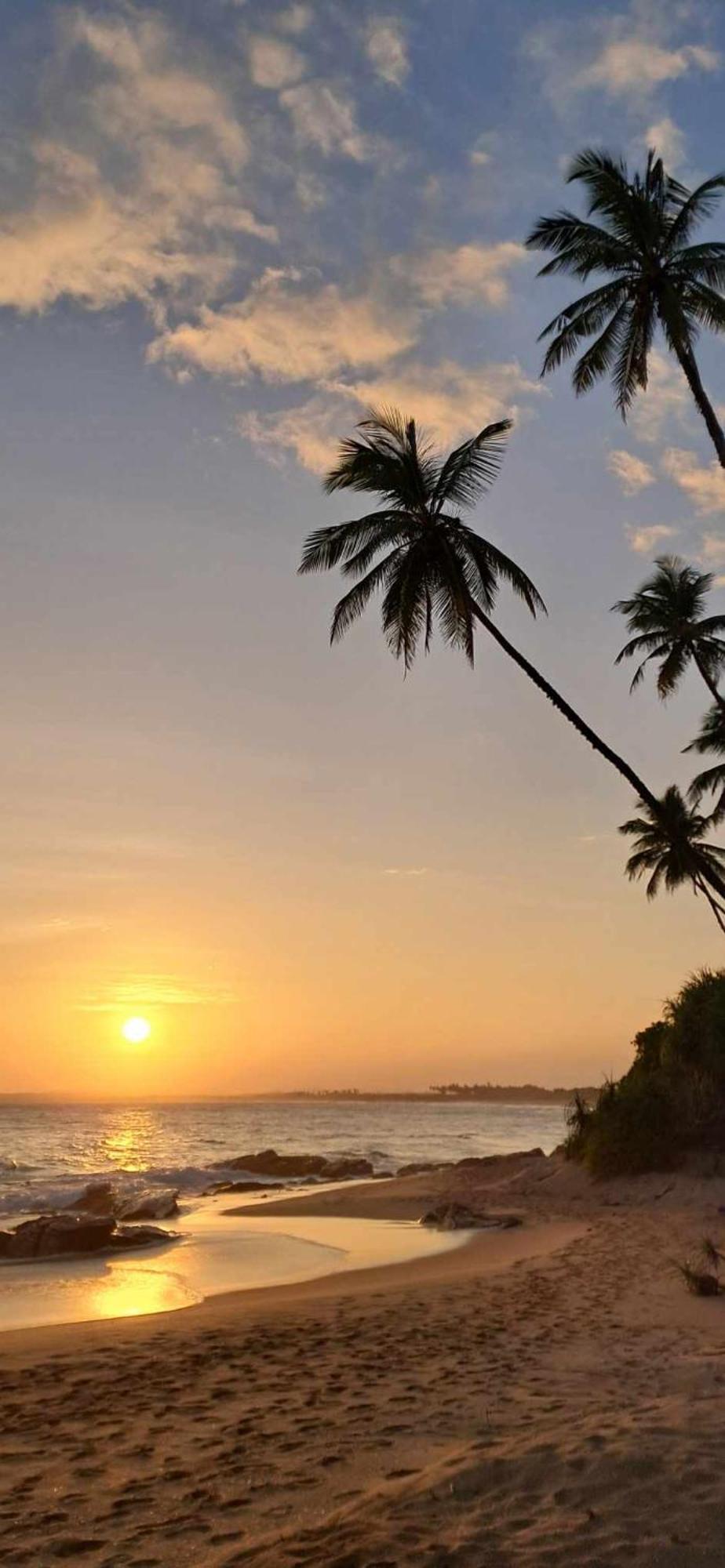 Coconut Tree Hill Rekawa Panzió Tangalle Kültér fotó