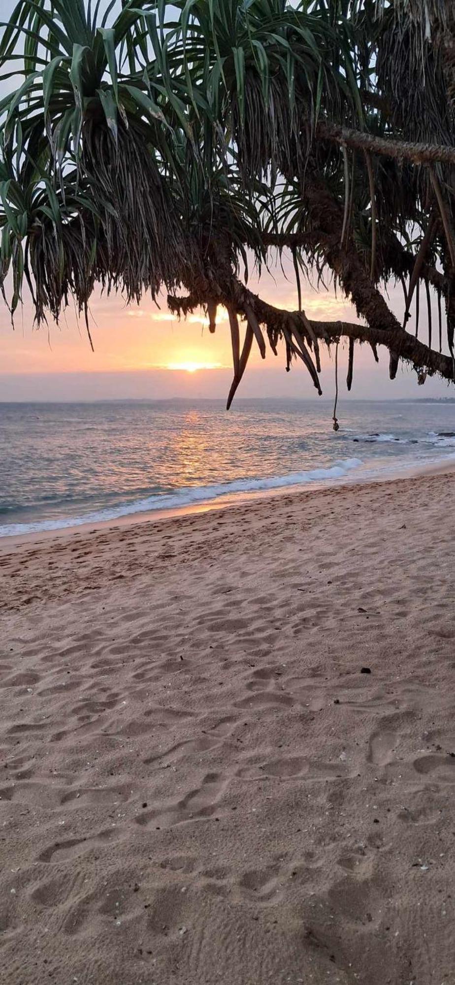 Coconut Tree Hill Rekawa Panzió Tangalle Kültér fotó