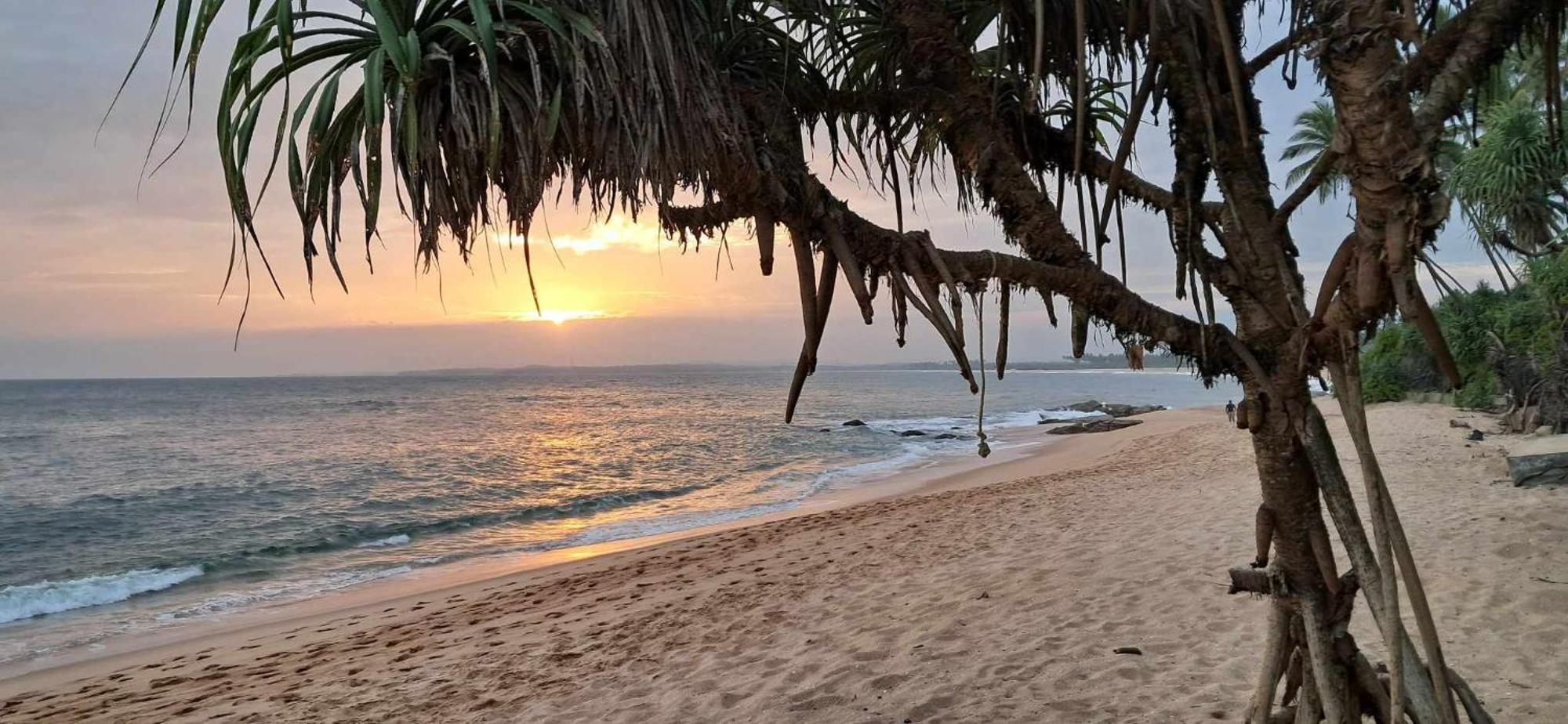 Coconut Tree Hill Rekawa Panzió Tangalle Kültér fotó