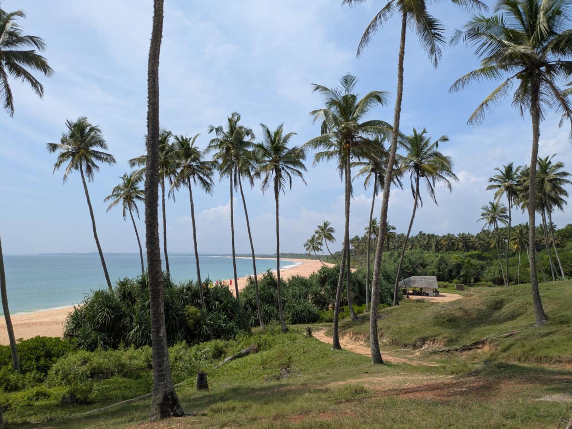 Coconut Tree Hill Rekawa Panzió Tangalle Kültér fotó