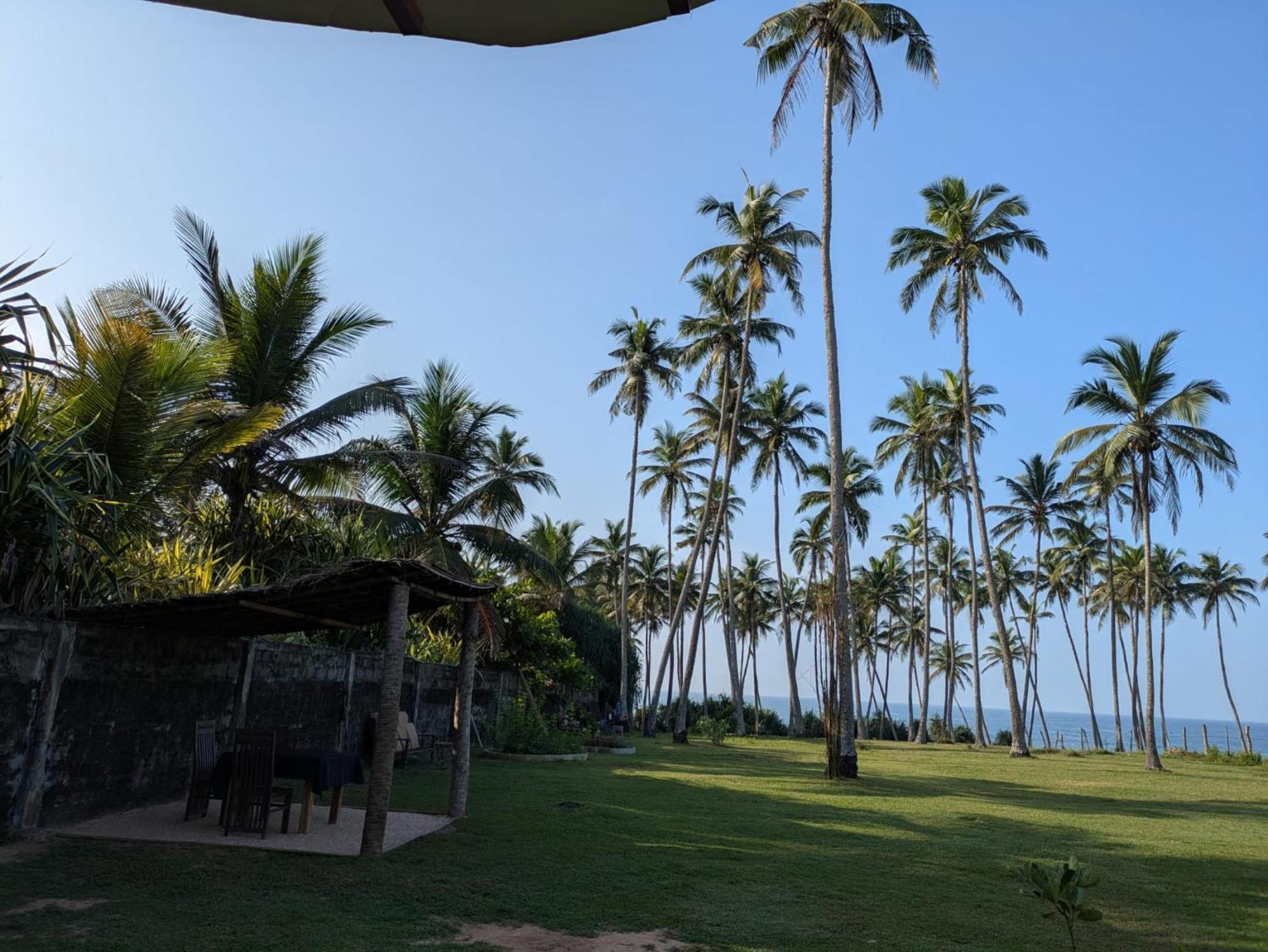 Coconut Tree Hill Rekawa Panzió Tangalle Kültér fotó