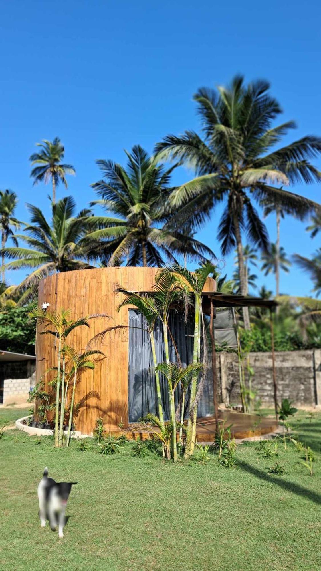 Coconut Tree Hill Rekawa Panzió Tangalle Kültér fotó