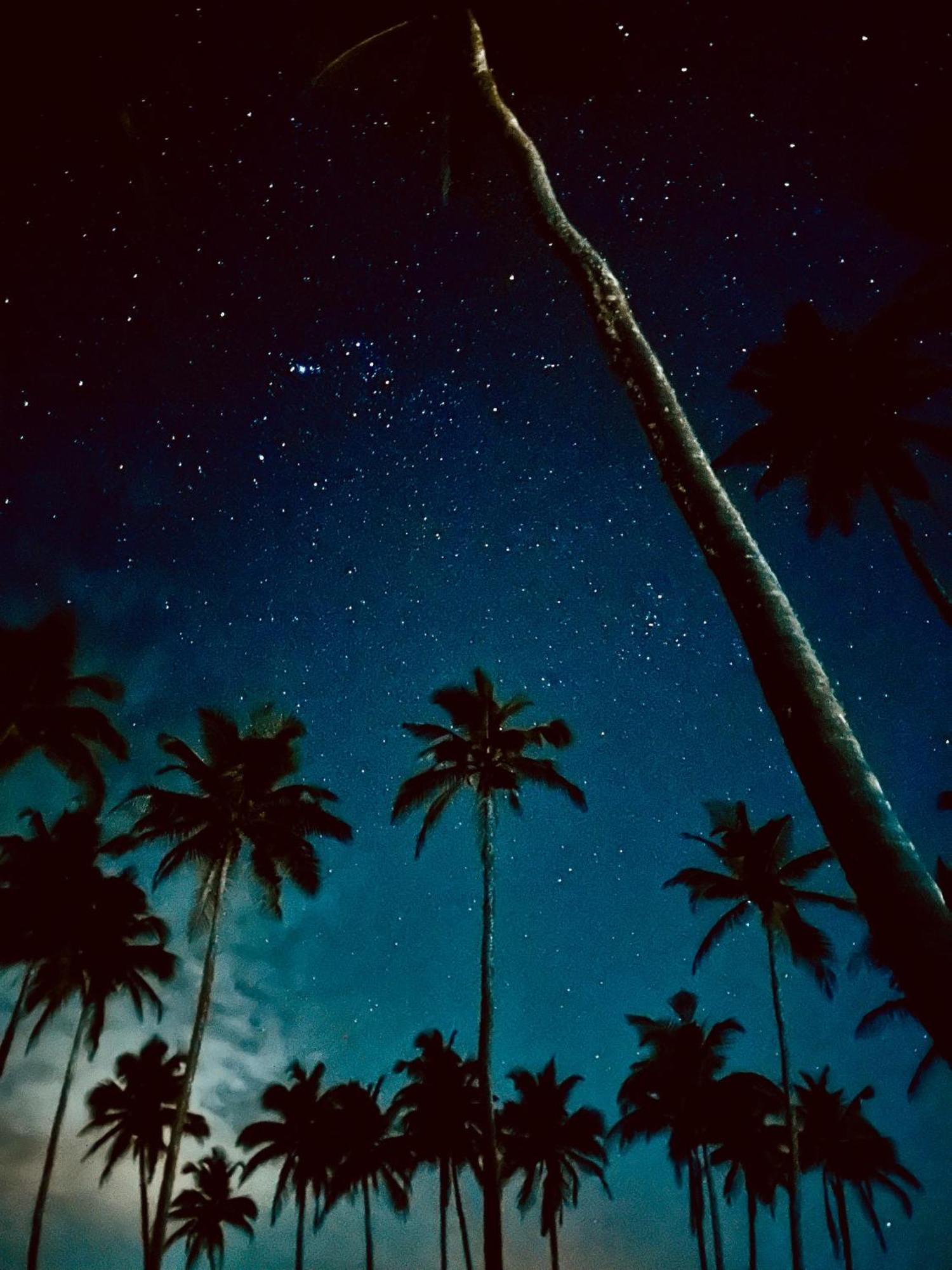 Coconut Tree Hill Rekawa Panzió Tangalle Kültér fotó